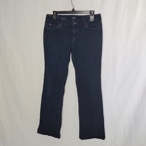 Ann Taylor Loft Original Bootcut Jeans